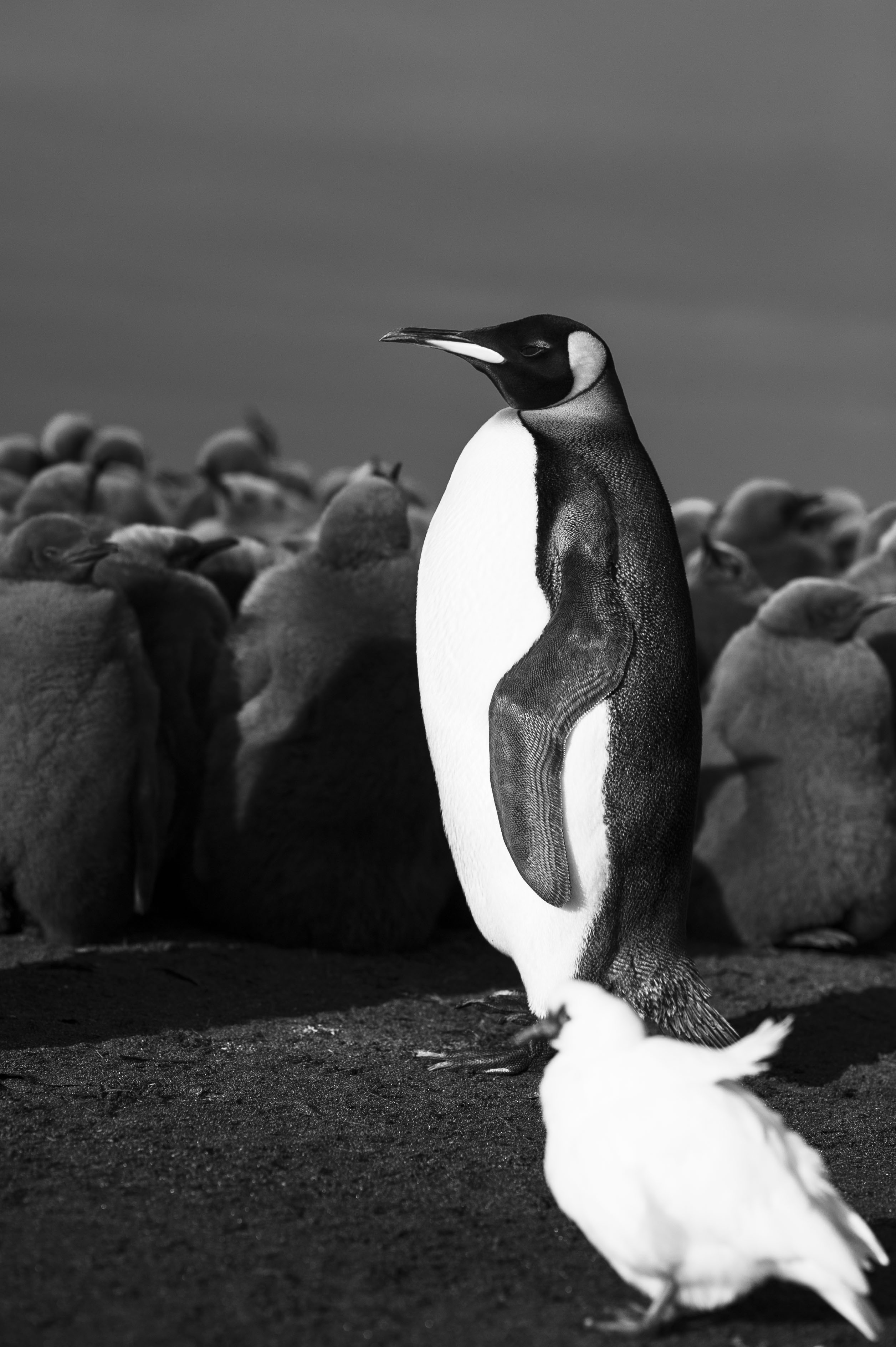 GYT 20220701 134820  DSC6269 2